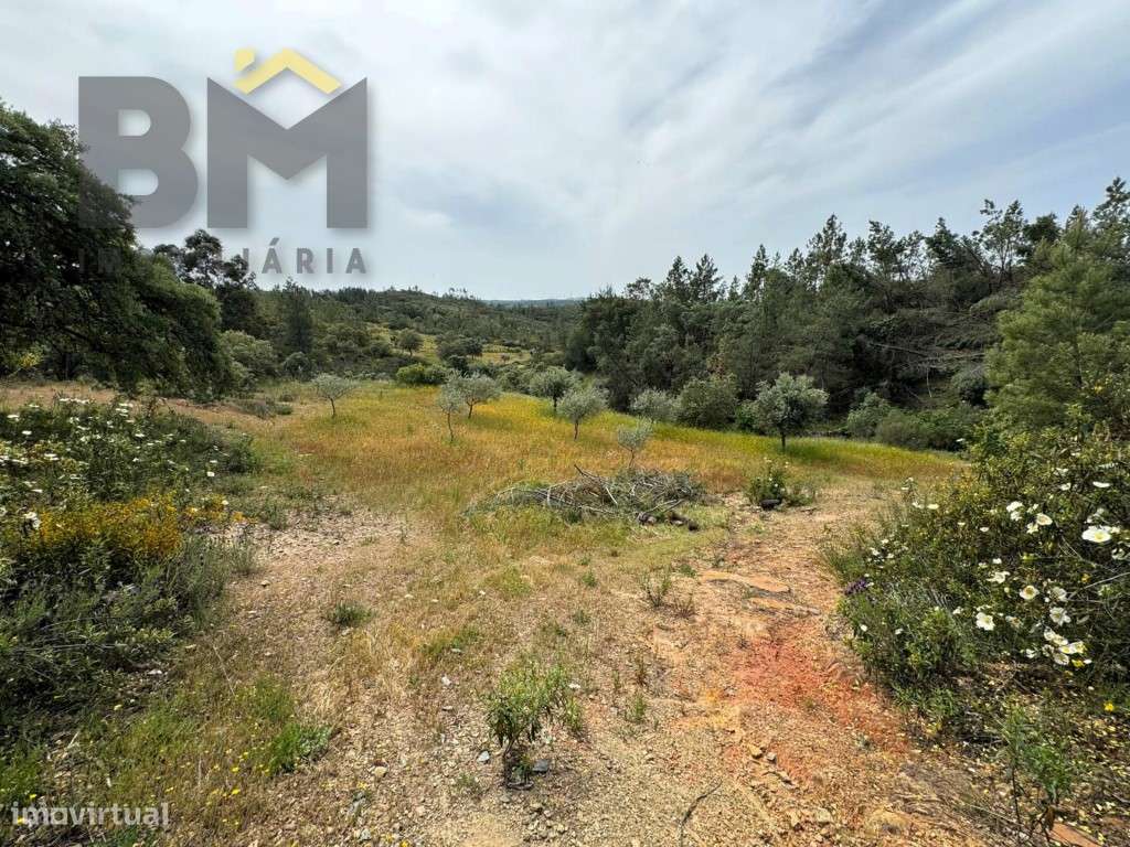 Terreno rústico com 13.640 m² para venda, localizado nas proximidad... - Vista 5
