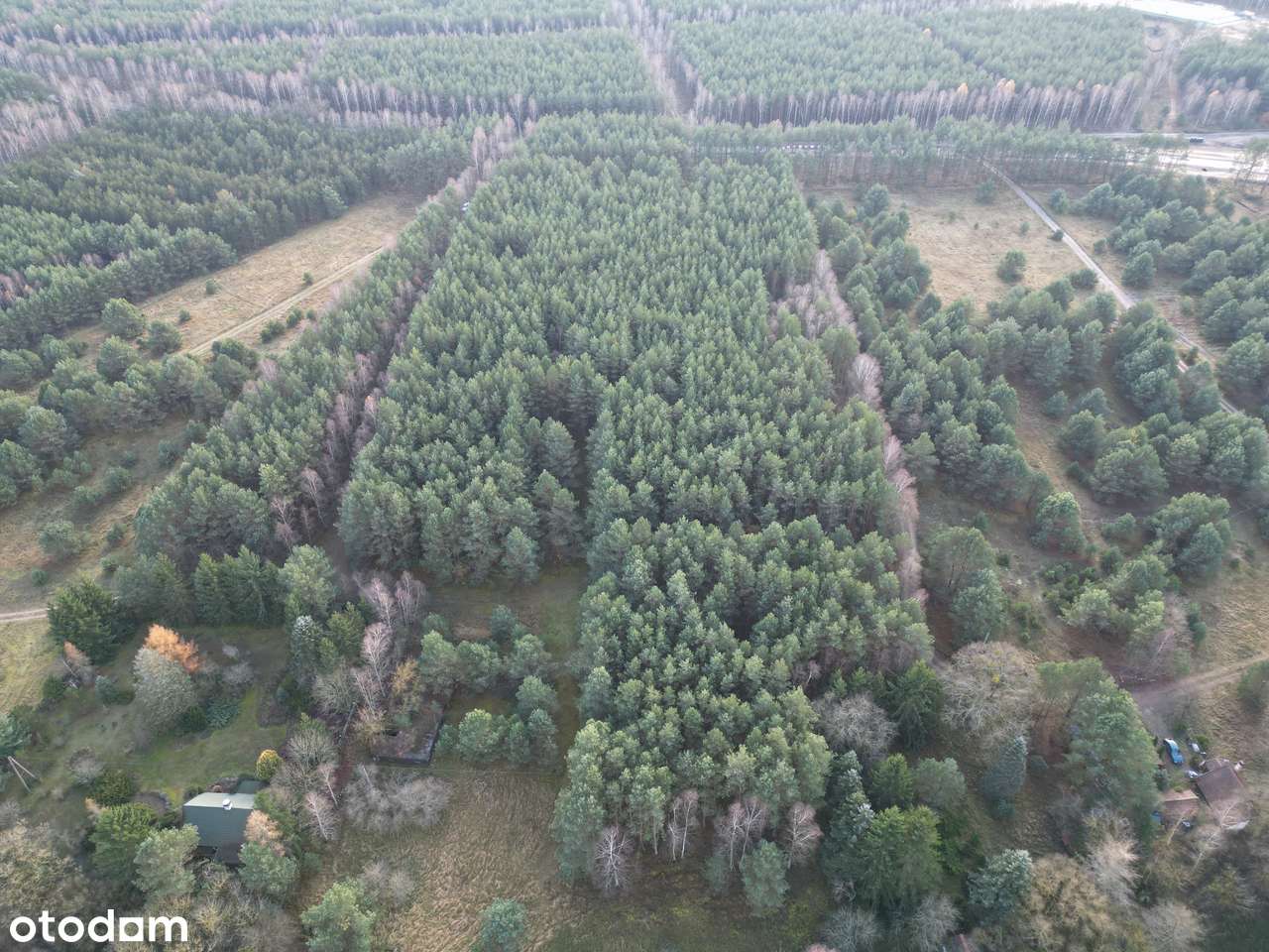 Działka na sprzedaż – Małe Jarki, koło Cierpic, niedaleko Torunia-8