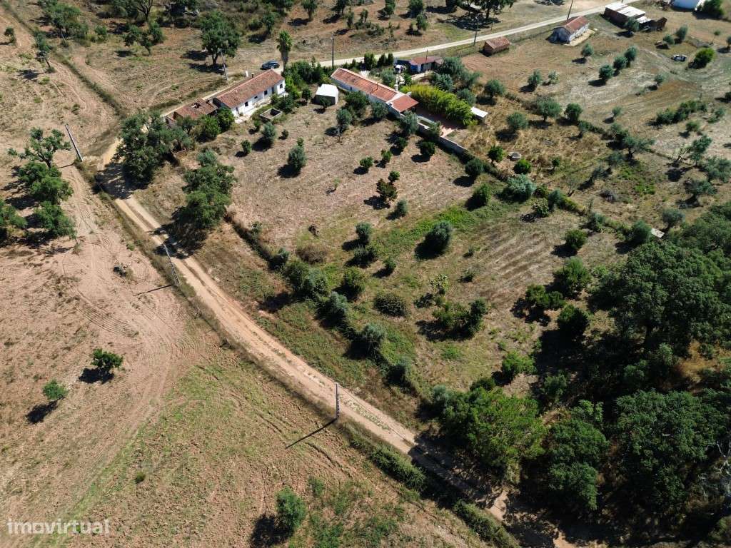 EXCLUSIVO! Quinta com Enorme Potencial no Coração do Alentejo Um Re...-55