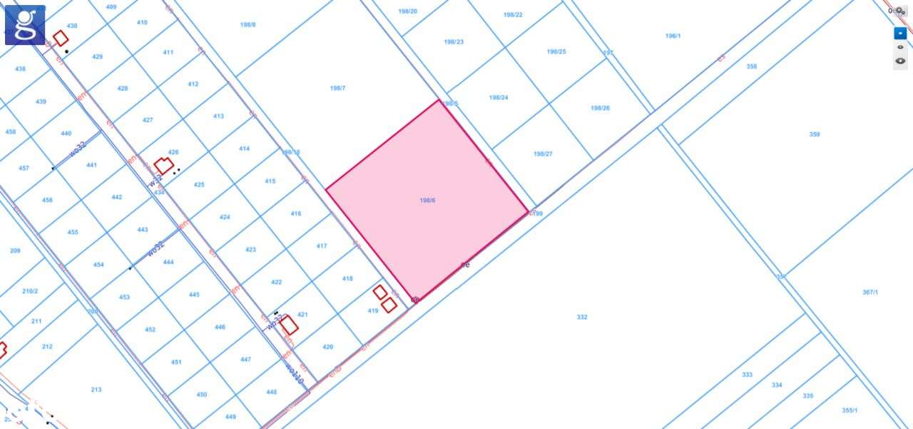 Duża działka 1,5 ha pod lasem - Kały - Pełny obrazek: 3/3