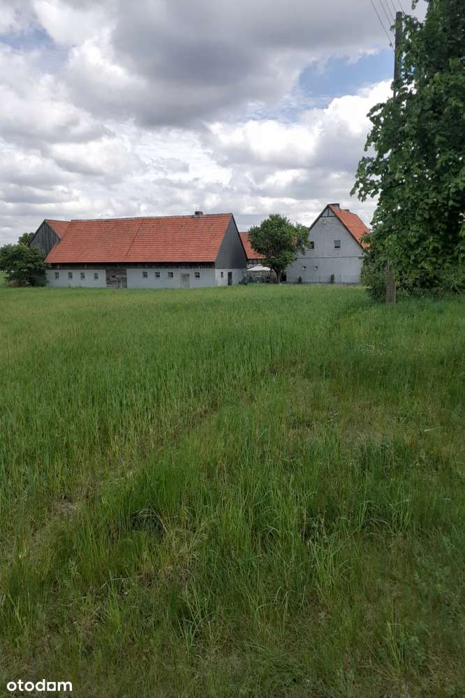 Działka budowlana w super cenie!-4