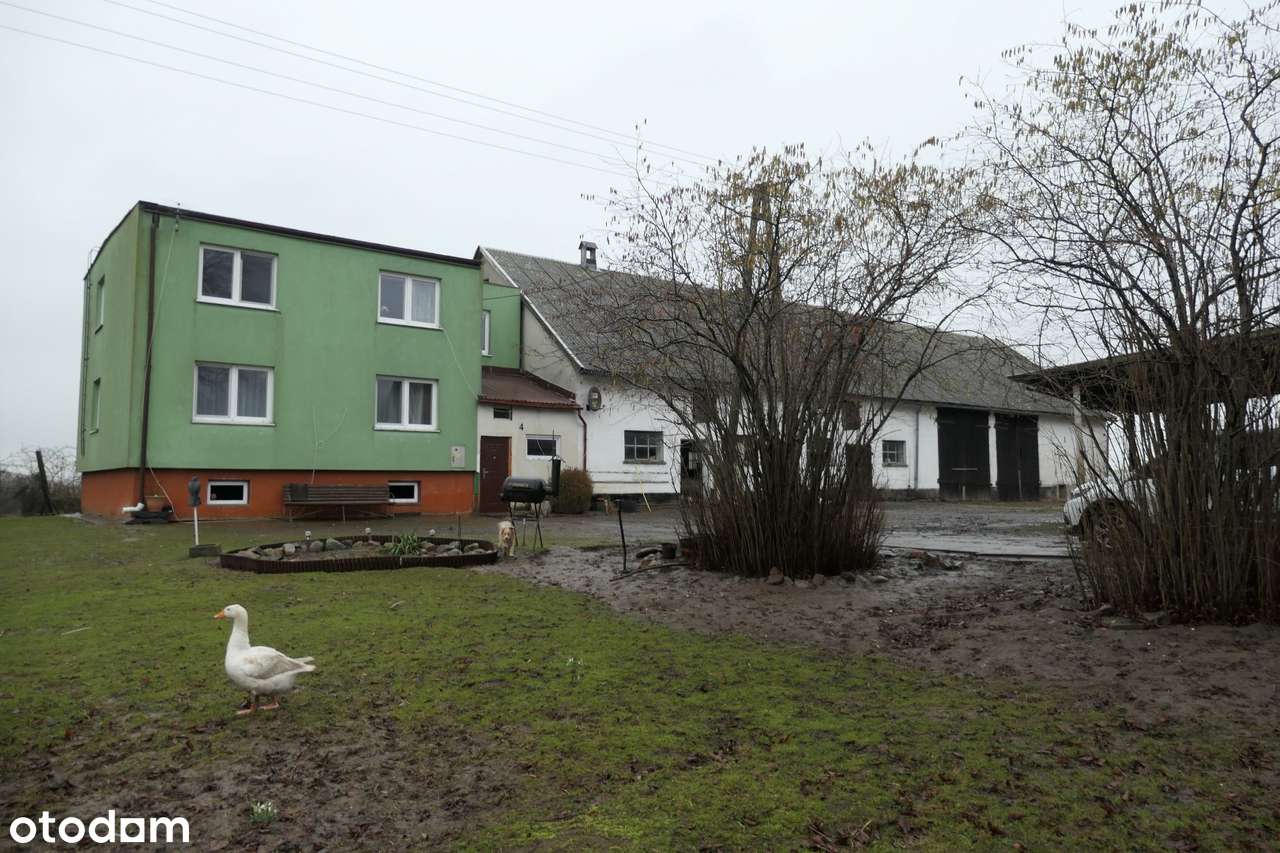Siedlisko z potencjałem | 5 km od plaży | Łaszka k. Sztutowa-11