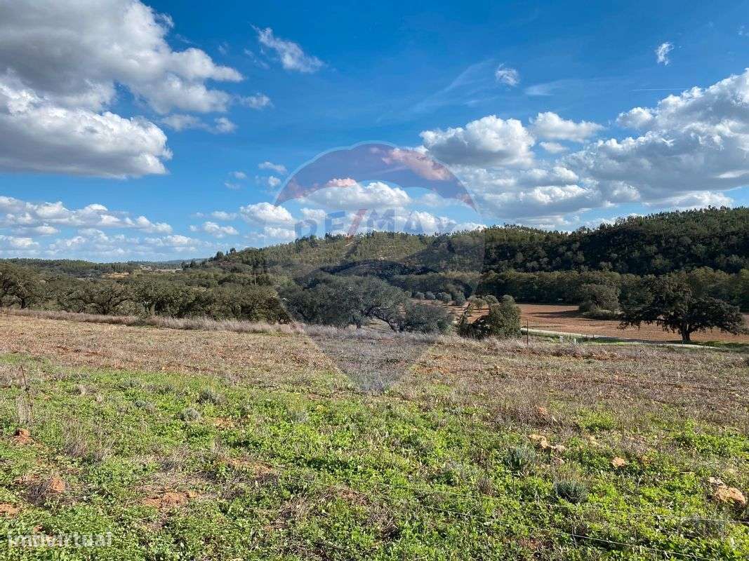 Herdade T2 para venda - Grande imagem: 4/12