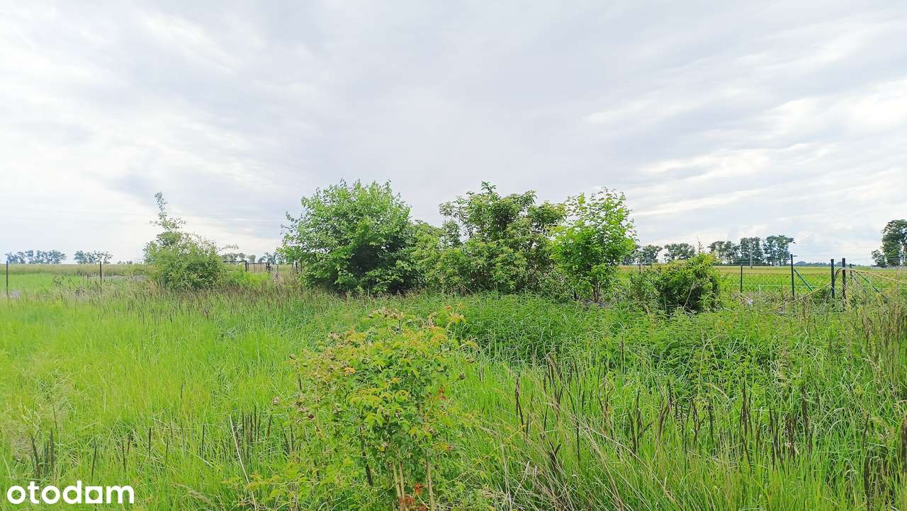 Działka z MPZP, możliwość podziału. - Pełny obrazek: 5/7