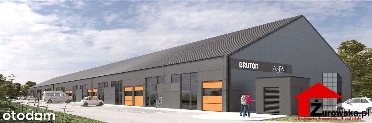 Hala/Magazyn, 242 m², Opole - Pełny obrazek: 2/5