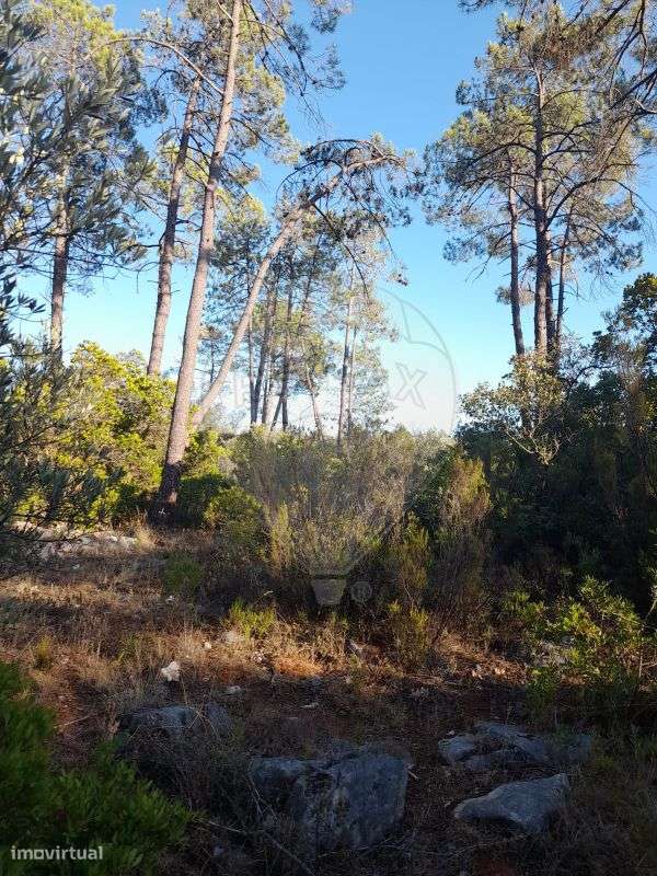 Terreno  para venda - Grande imagem: 3/7