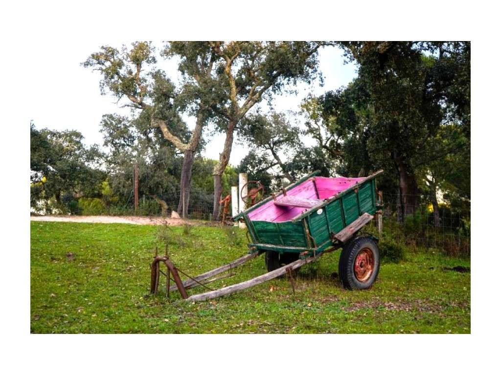 Monte Alentejano com 8,2 Hectares - Um Paraíso de Natureza e Sereni...-50