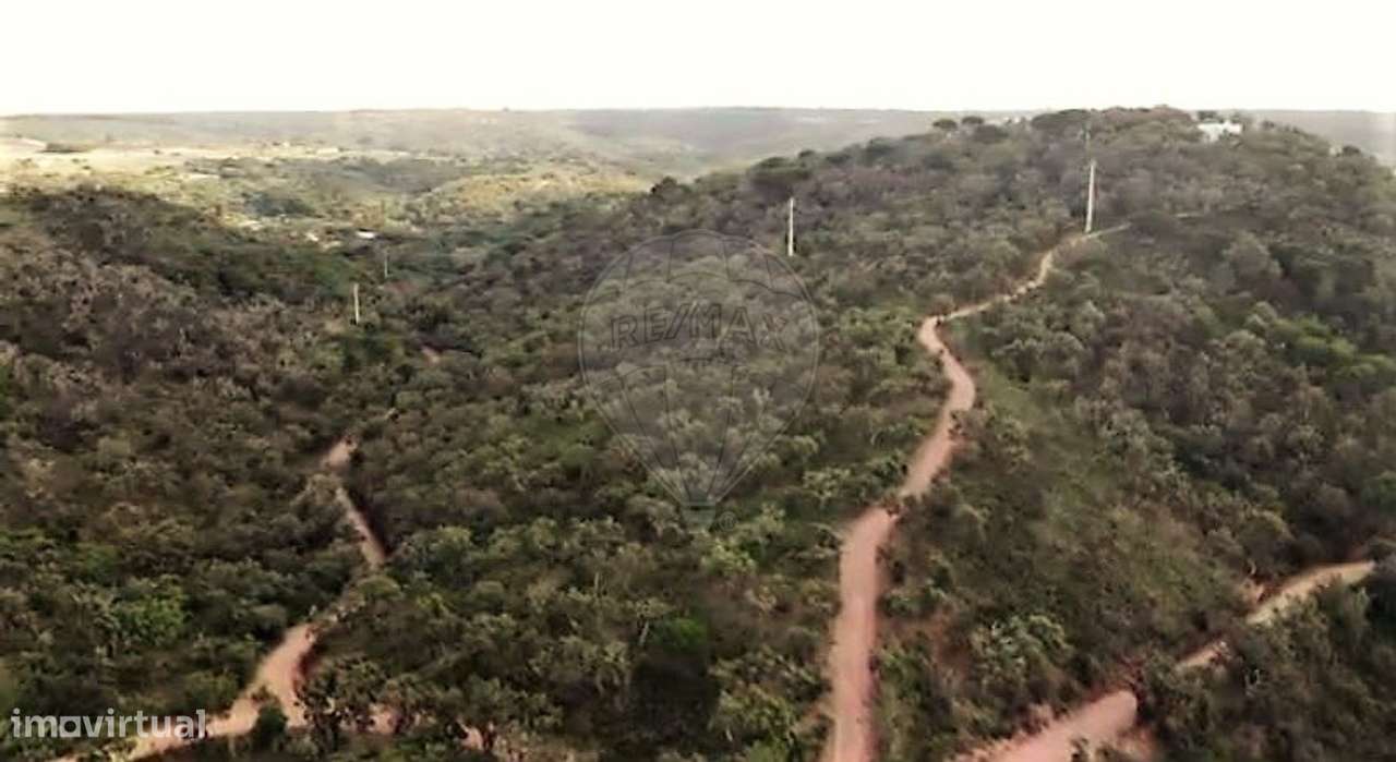 Terreno  para venda - Grande imagem: 5/8