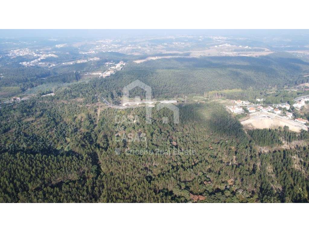 Vende Terreno - Ericeira 13 km, A Casa das Casas - Grande imagem: 5/8