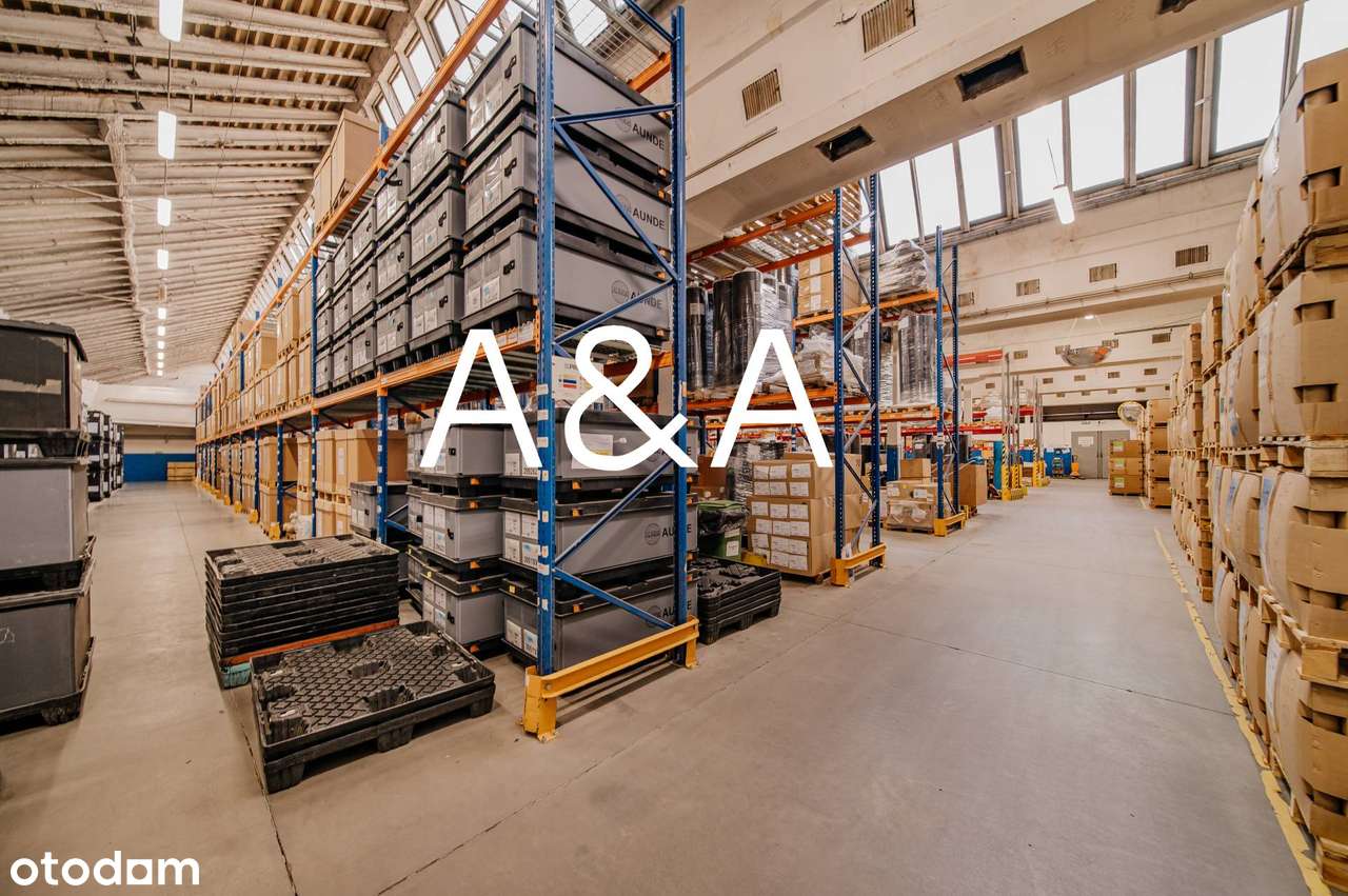 Hala produkcyjno magazynowa 7 685 m2 - Pełny obrazek: 4/12