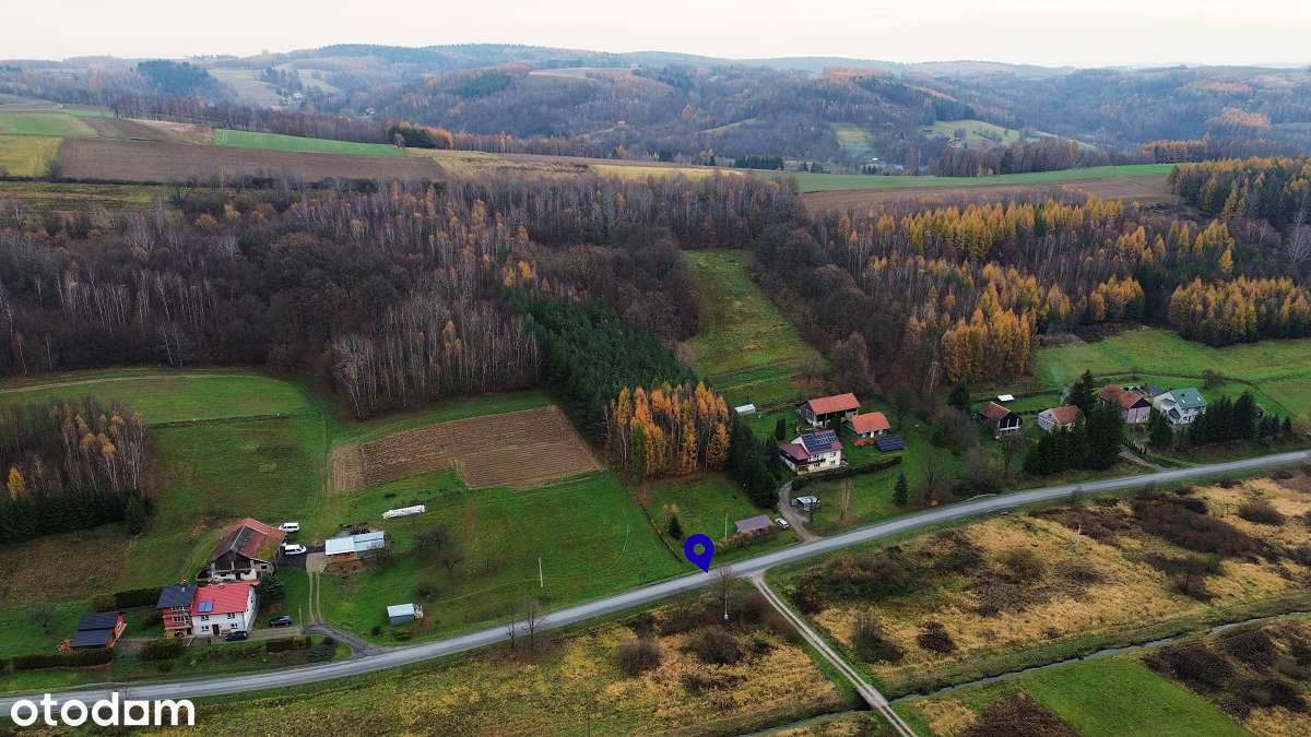 0,56ha z domkiem rekreacyjnym-3km od Strzyżowa tylko 3000zł/ar OKAZJA-5