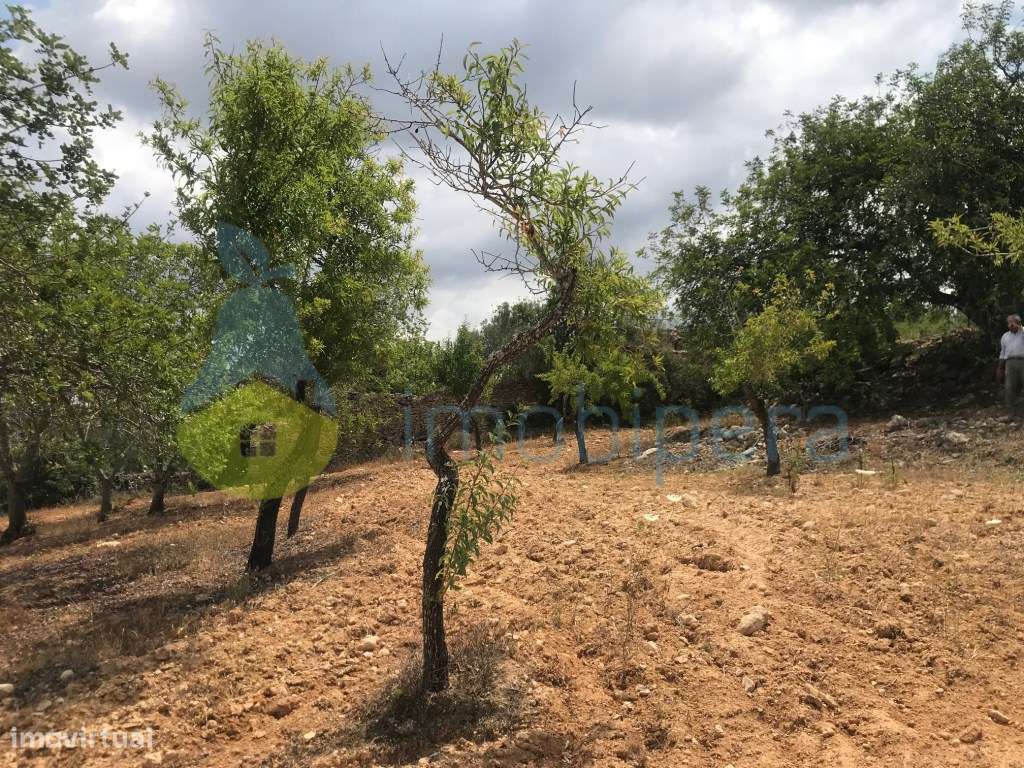 TERRENO RÚSTICO 1800m2 VISTA FANTÁSTICA BOLIQUEIME - Grande imagem: 3/10