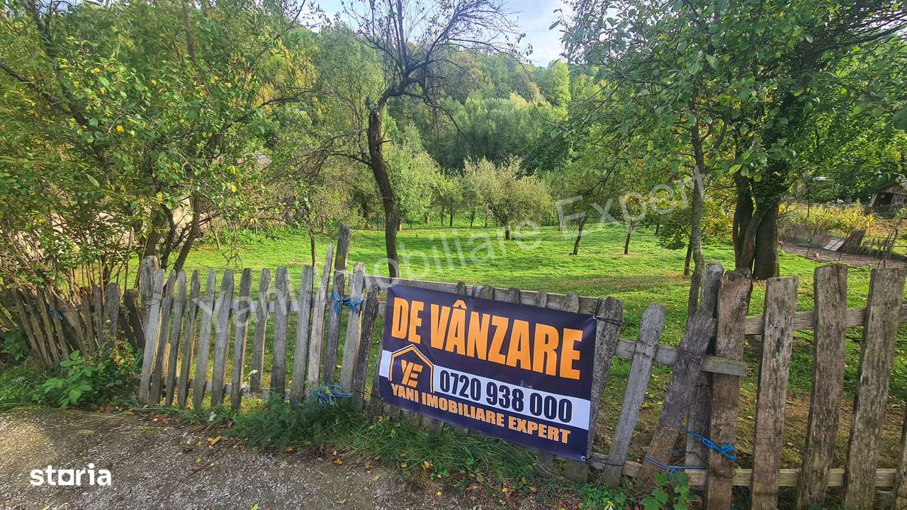 Teren de vânzare în comuna Arefu, județ Argeș.-11