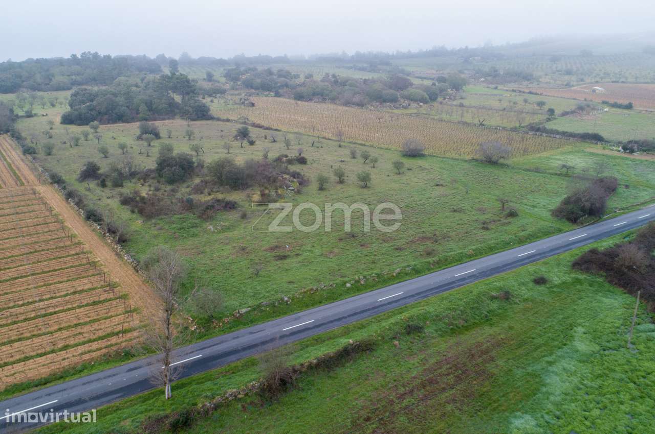 Terreno agrícola com 4 hectares, Vila Nova de Fôz Coa - Grande imagem: 3/15