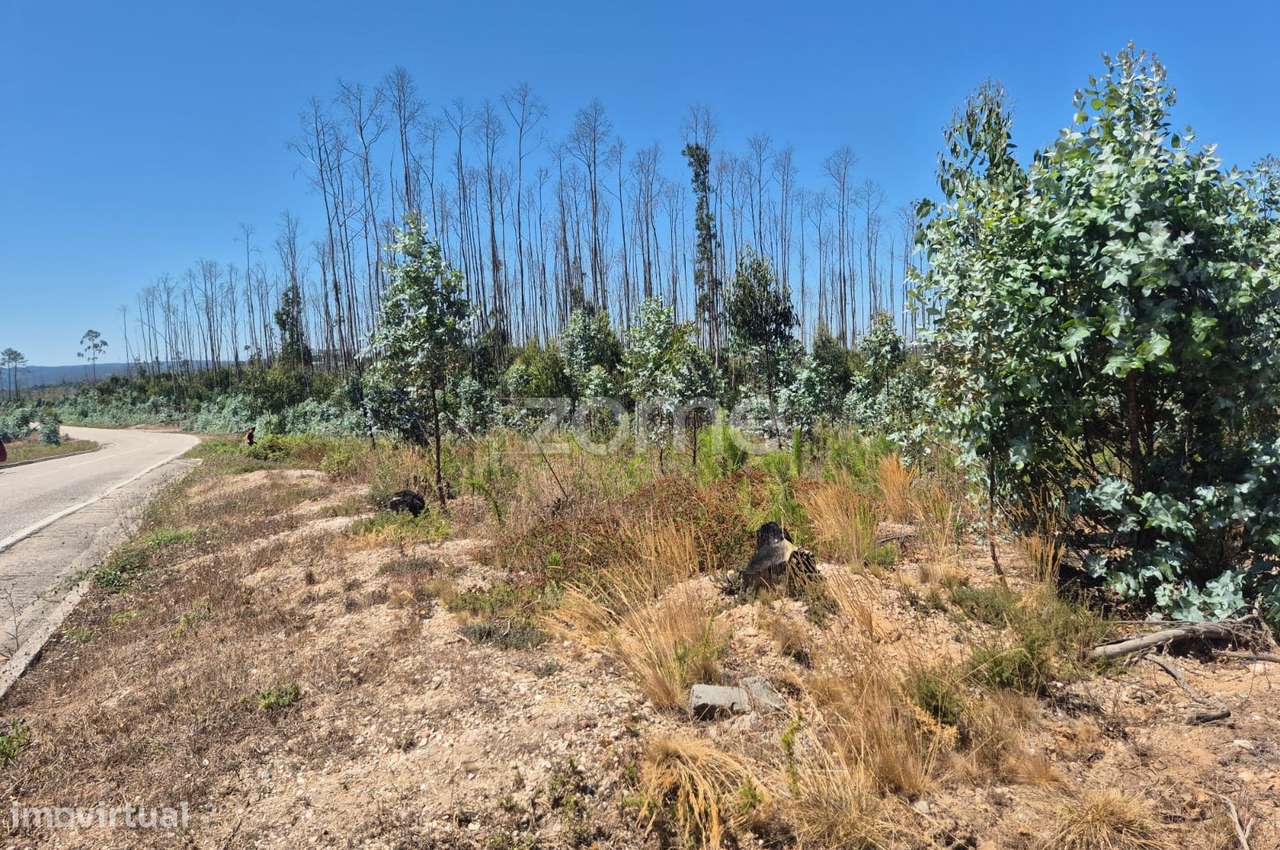 Terreno Rústico na Caranguejeira - Grande imagem: 2/22