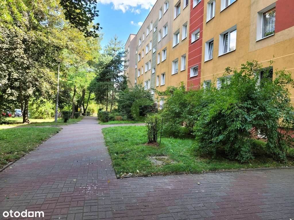 Przestronne po remoncie 61m2 Północ-17