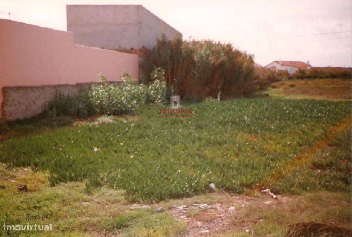 Terreno 8.012m2 com vista para as Berlengas - Grande imagem: 4/5