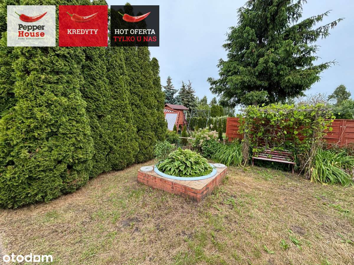 Działka rekreacyjna Rod Al. Śluzowa -Lisi Ogon - Pełny obrazek: 4/13