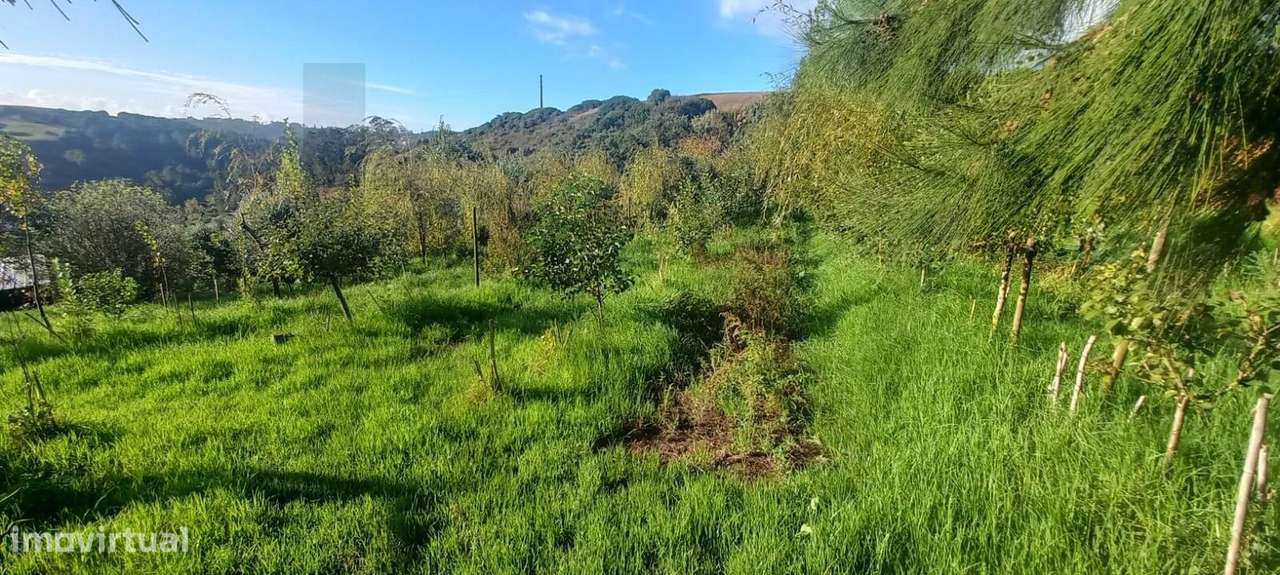 Terreno com Projeto Vivo de Permacultura e Potencial de Construção | P-16