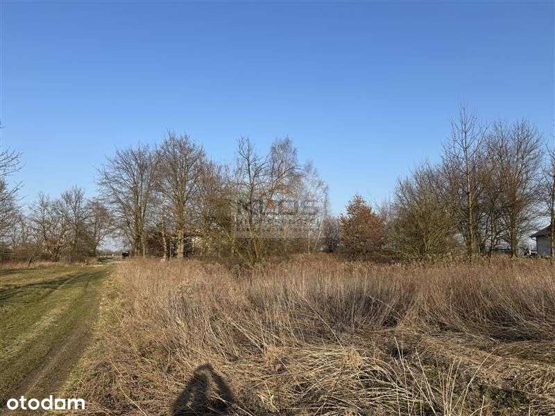 Działka budowlana - Pierwoszów - Pełny obrazek: 5/7