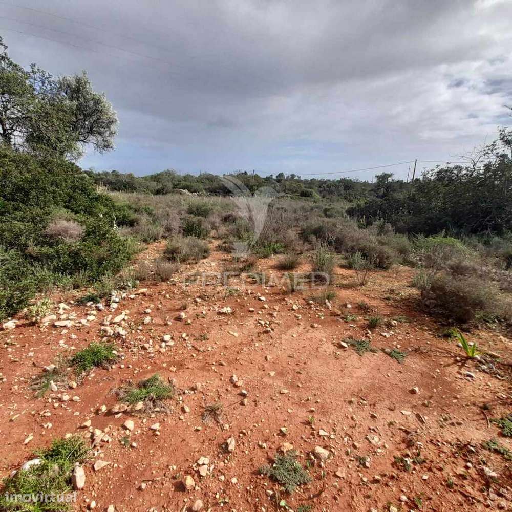 Terreno Rustico  entre Estói e Moncarapacho - Grande imagem: 2/11