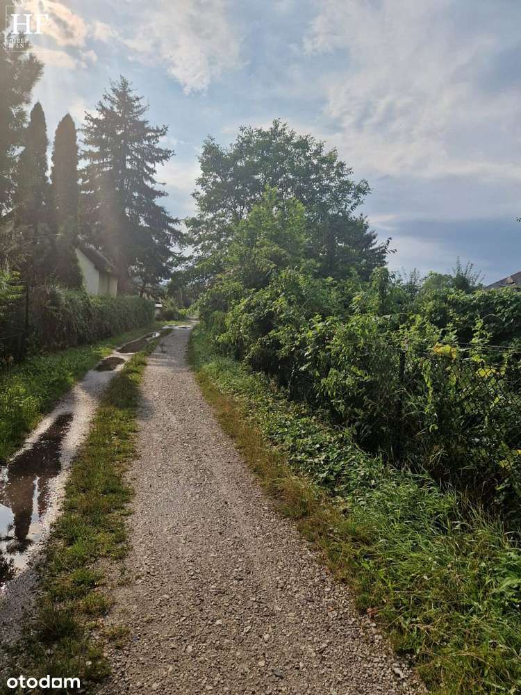 Działka ROD - Pełny obrazek: 5/15