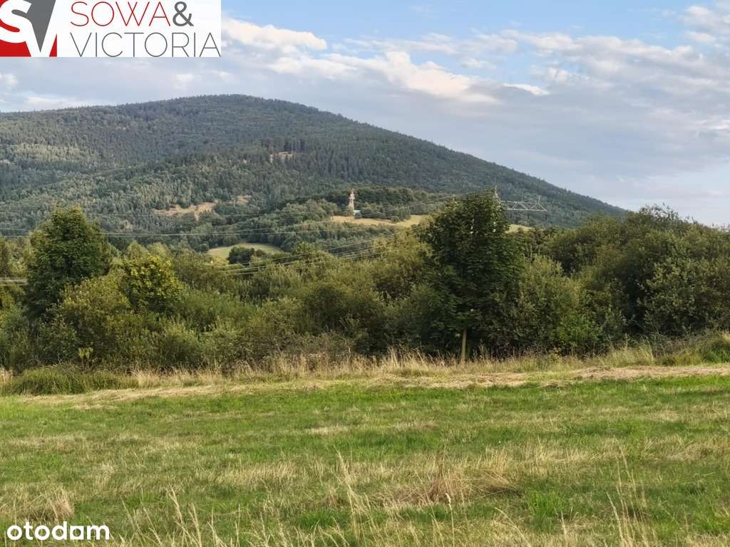 Widokowa działka pod lasem , prąd na działce-8