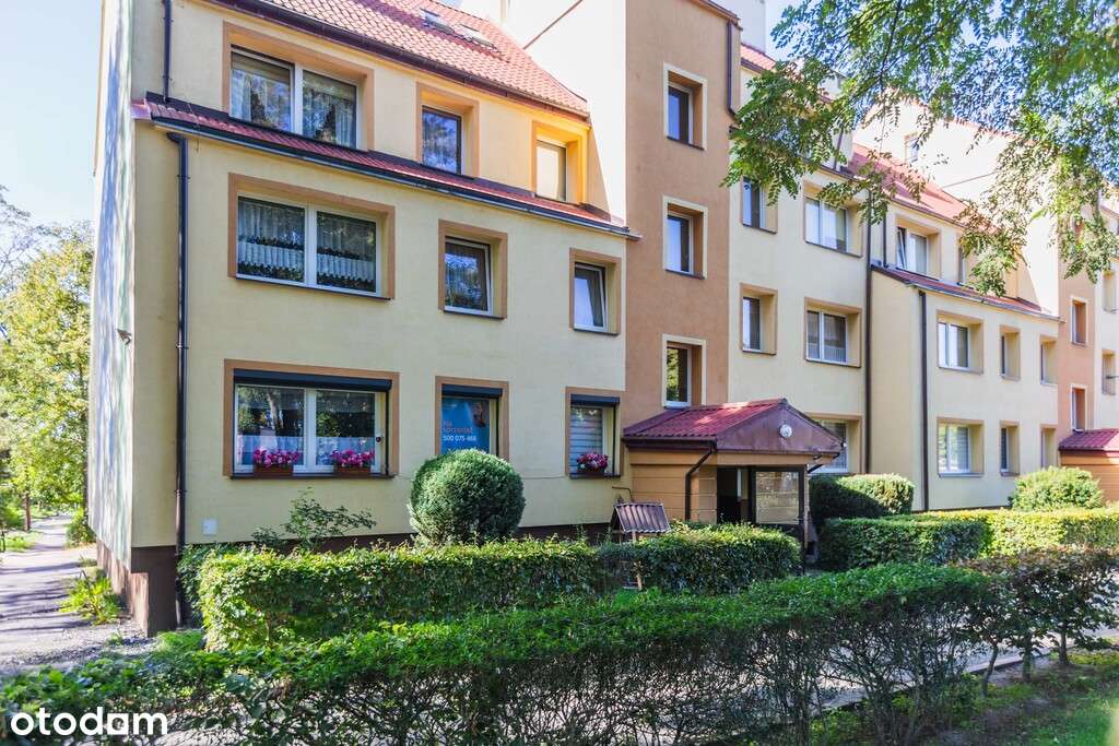 Cztery kąty, Lipowa i odrobina magii - Pełny obrazek: 4/20