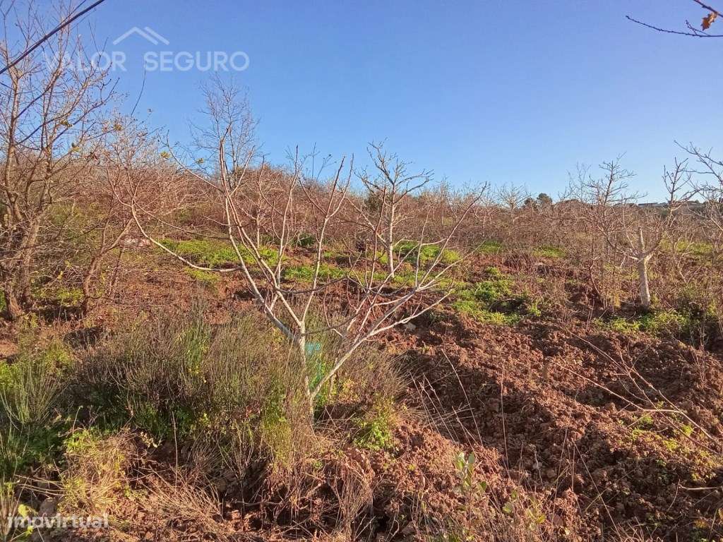 Terreno rústico em Vale Serrão, Pereiro de Palhacana, Alenquer-16