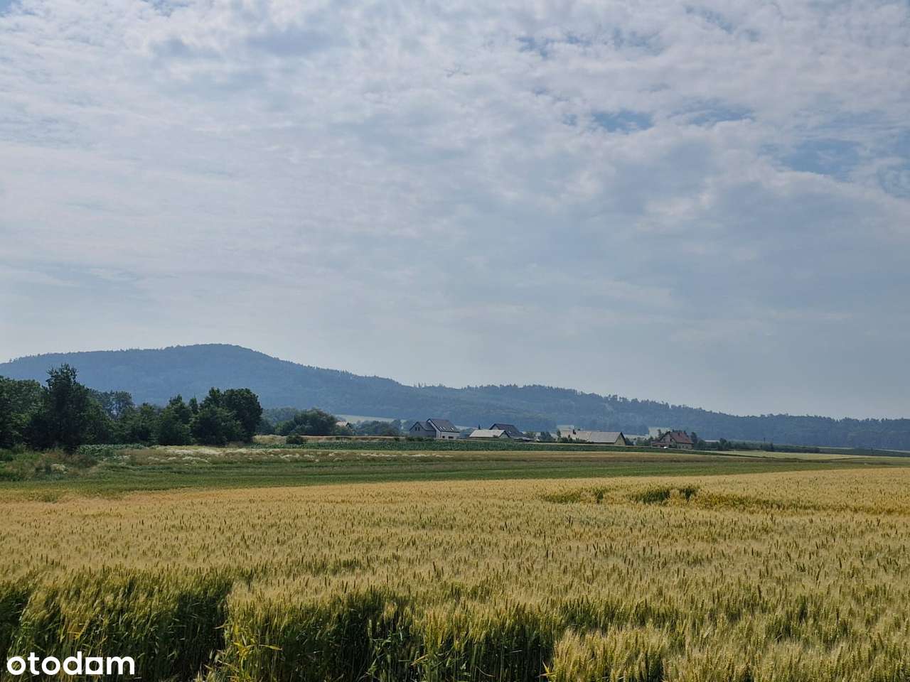 Premium z dala od miasta z widokiem na Ślężę-12