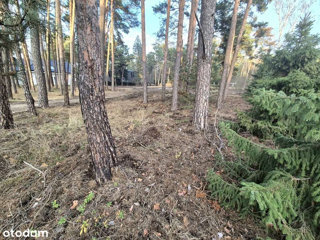 Działka idealna, wschodnia strona, media, asfalt.-1