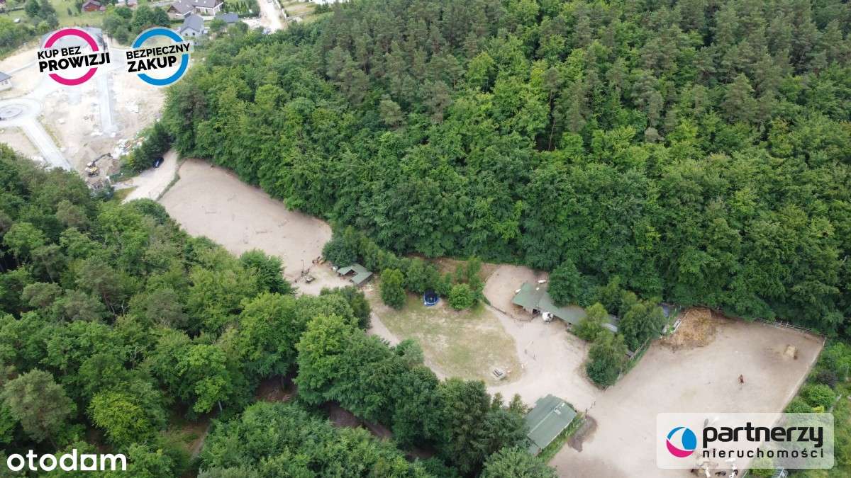 Wyjątkowy teren otoczony lasem Polana Bernadowo - Pełny obrazek: 5/8