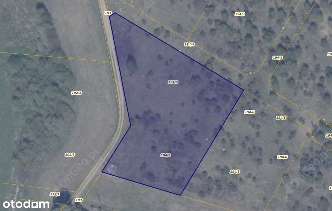 Działka 194/9 w miejscowości Ełganowo-0