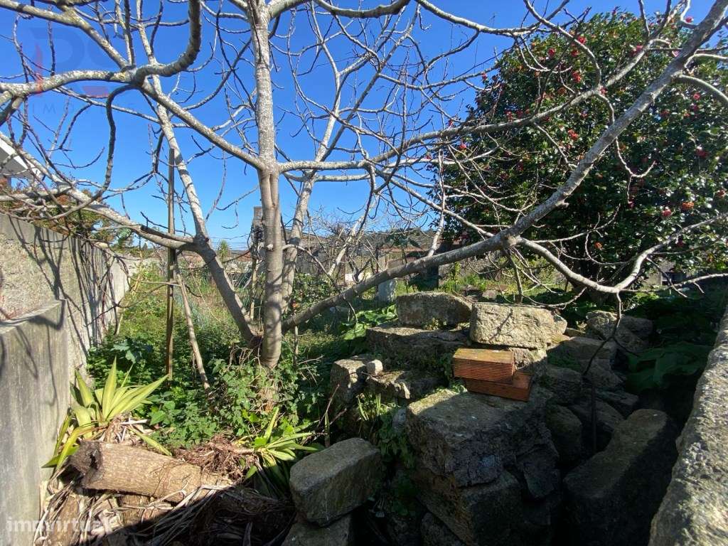 Moradia para recuperar-17