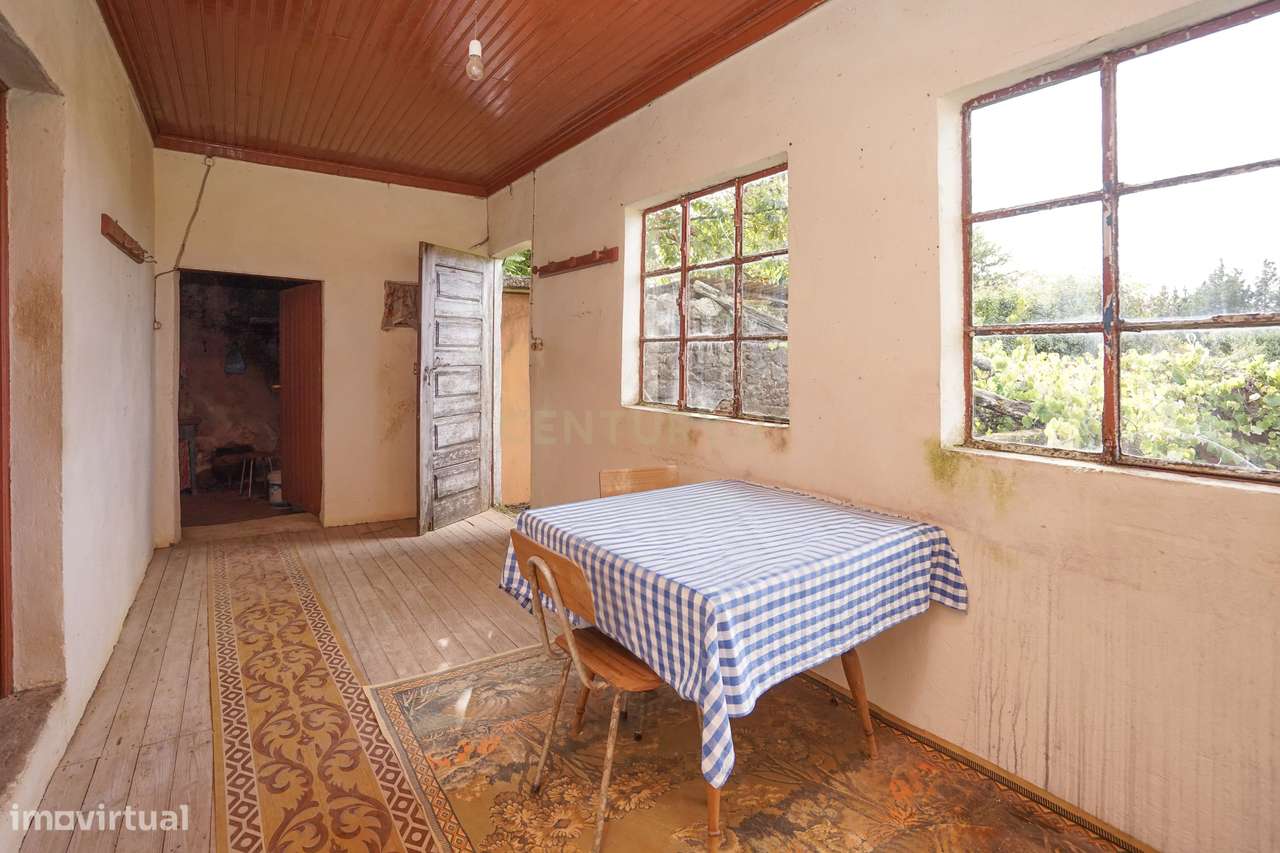 Moradia T3 com terreno e poço - Grande imagem: 3/24