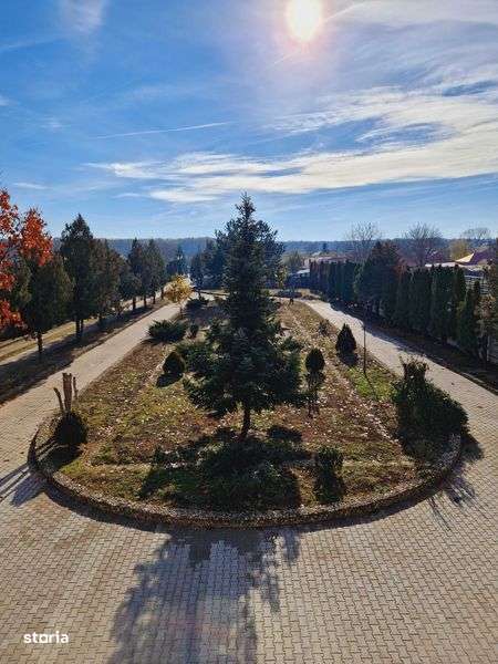 VANZARE vila + teren + hala (Vladiceasca, Snagov) - Imagine principală: 4/8