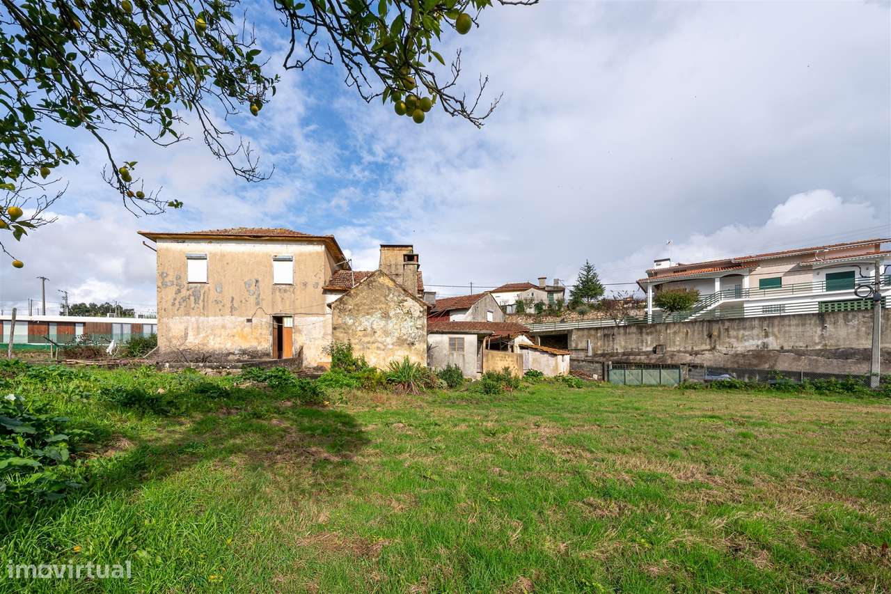 Moradia Isolada T2 Venda em Pinheiro da Bemposta, Travanca e Palmaz,Ol-19