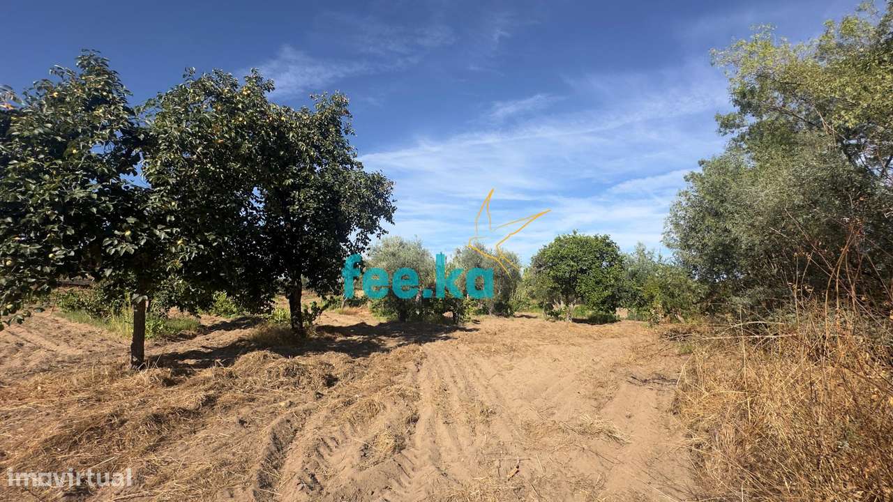 Terreno em Ladoeiro-34