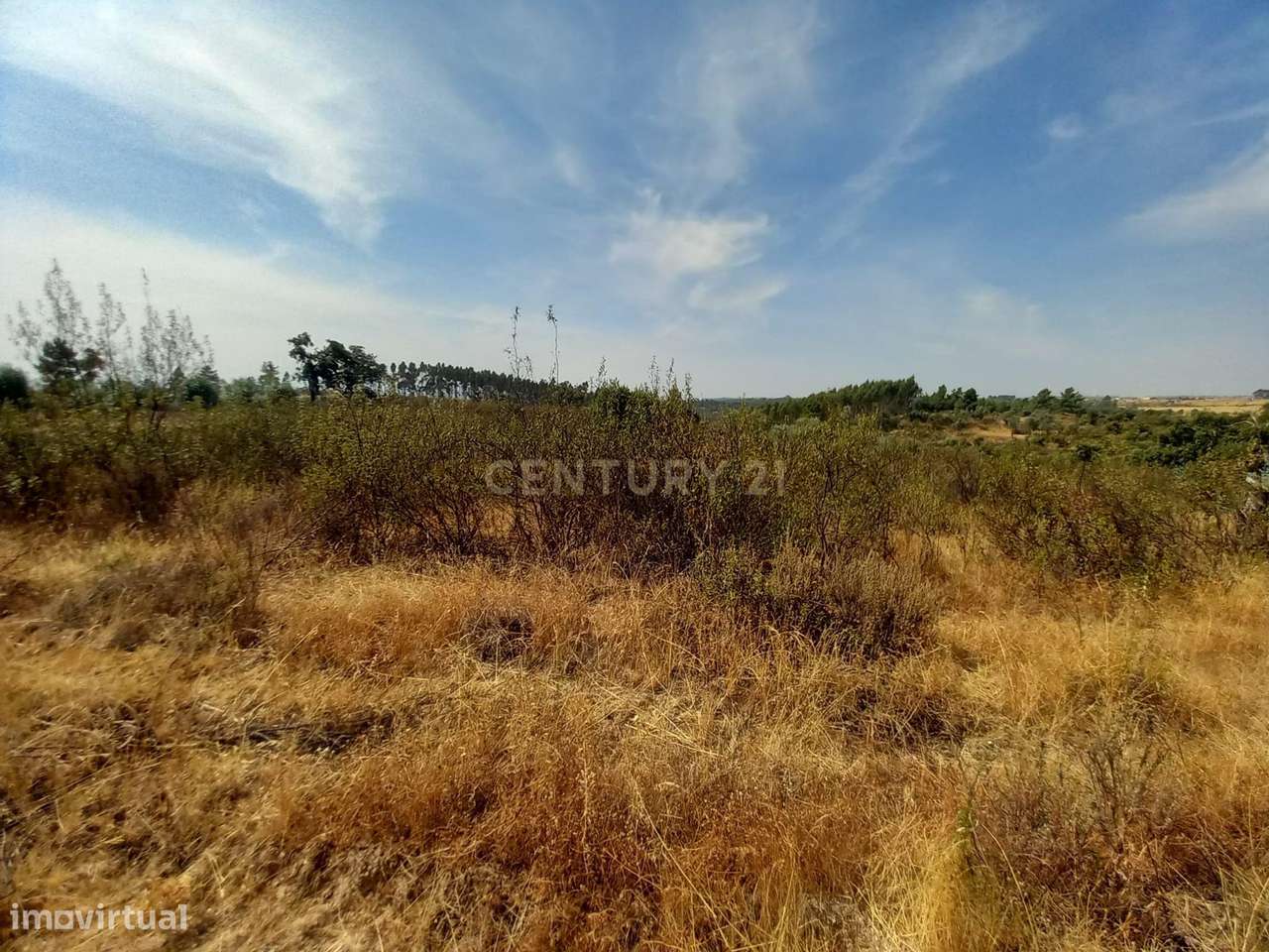 Terreno com 23500m2 com Vista Panorâmica em Local Tranquilo - Grande imagem: 4/6