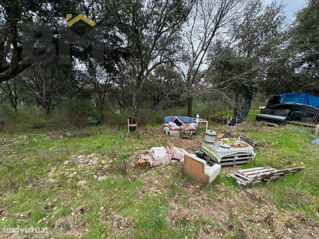 Terreno rústico para venda em Salgueiro do Campo! - Grande imagem: 4/13