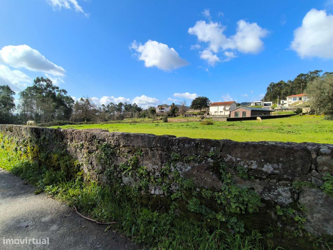 Terreno construção  1200 m2 - Grande imagem: 3/4