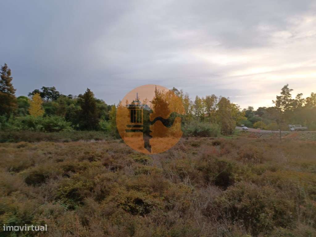 TERRENO RUSTICO COM 9.400 M2 JUNTO A ESTAÇÃO DE COMBOIO DE CASTRO M...-8