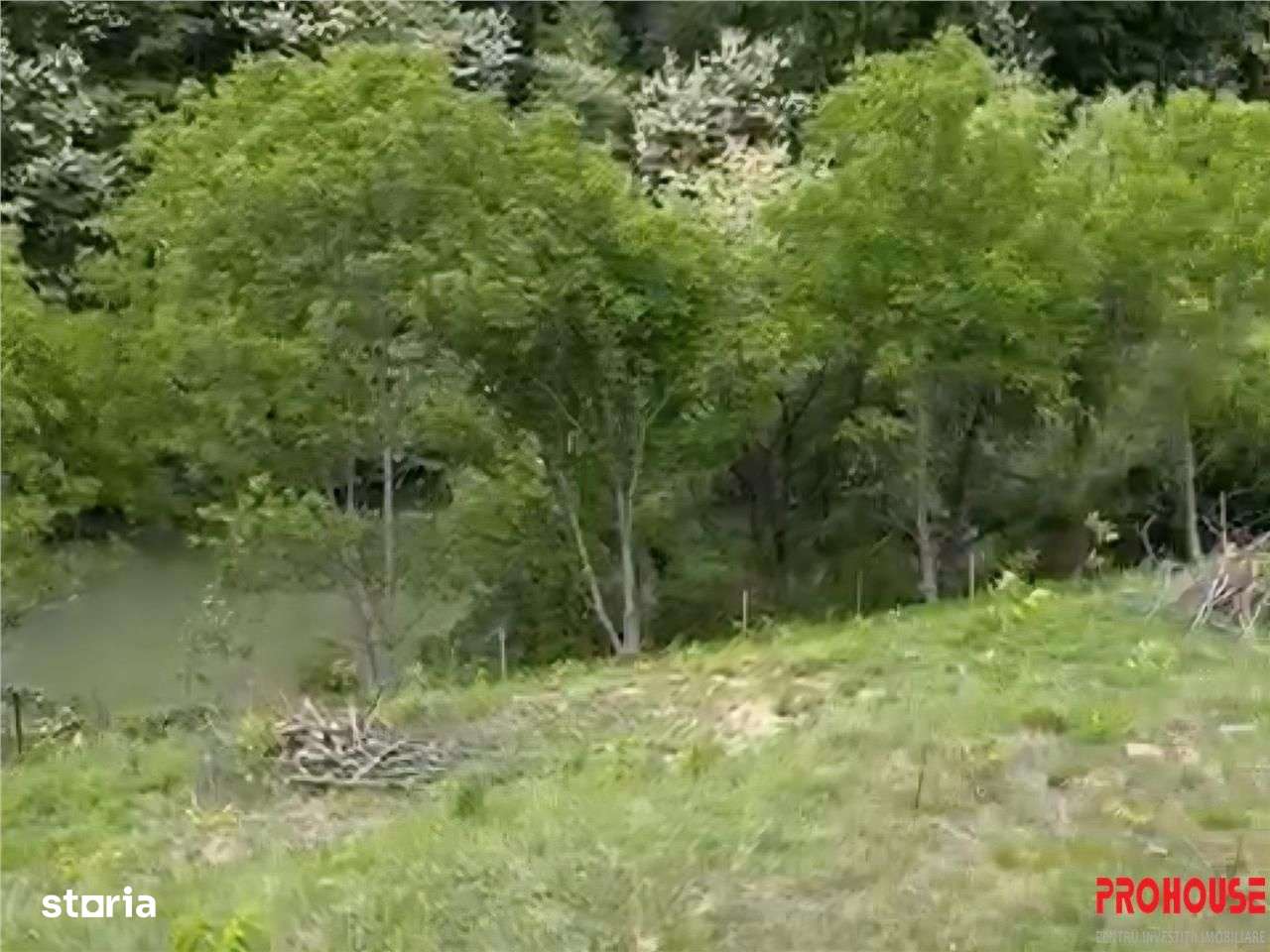 Valea Budului - Teren intravilan. Lac. Padure - Imagine principală: 3/19