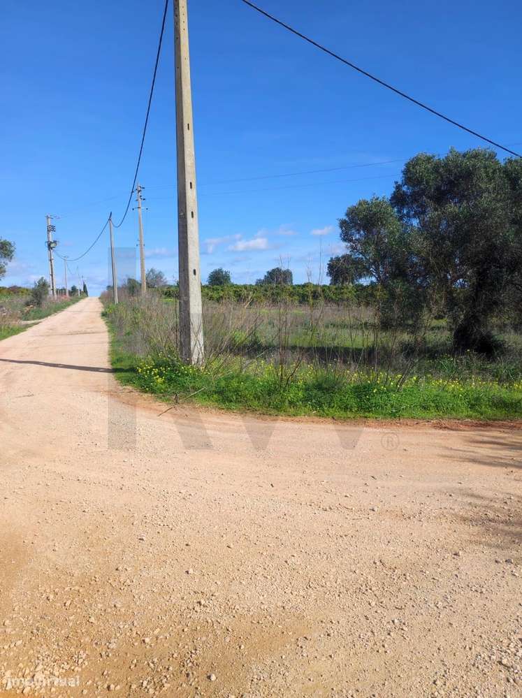 Terreno Rústico com 1200m2, Benaciate - Silves - Grande imagem: 5/15