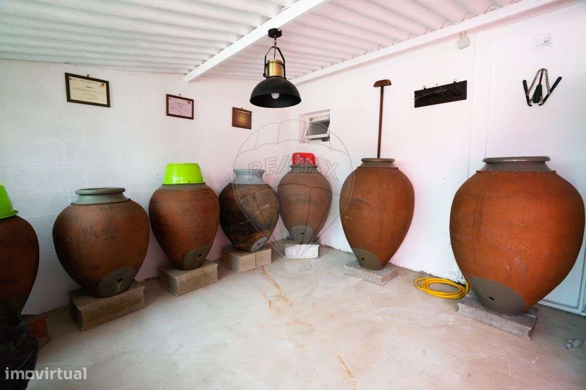 Quinta T6 para venda - Grande imagem: 4/50