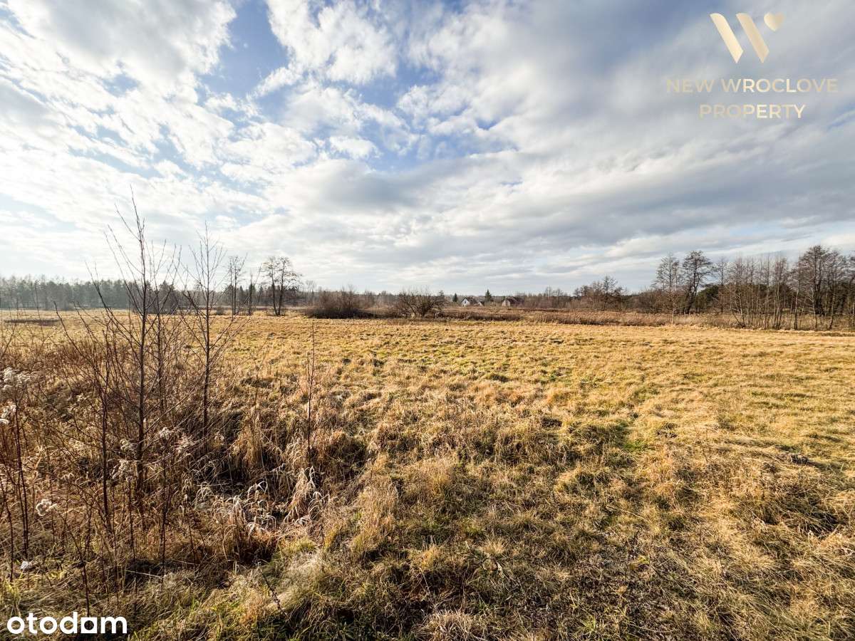 Działka rolna, niecałe 30km od Wrocławia - Pełny obrazek: 4/9
