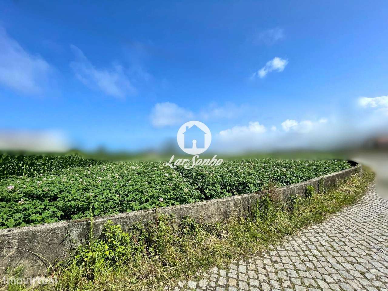 Terreno para construção em Apúlia - Grande imagem: 5/27