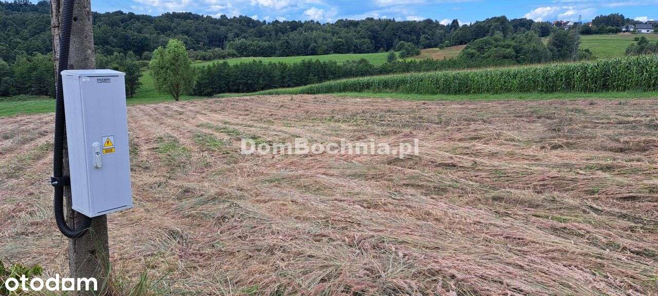 Bieńkowice gm. Dobczyce 30ar zabudowa zagrodowa-5