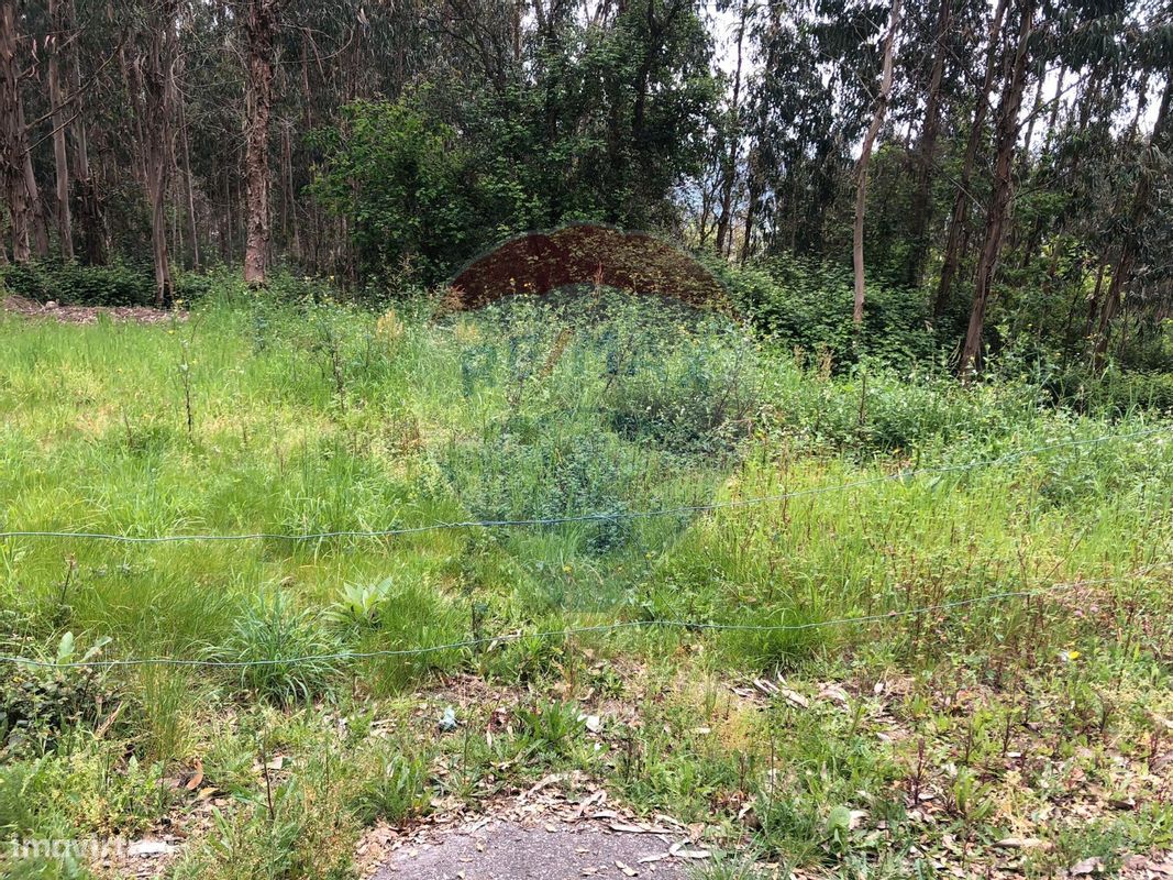 Terreno  para venda - Grande imagem: 3/3