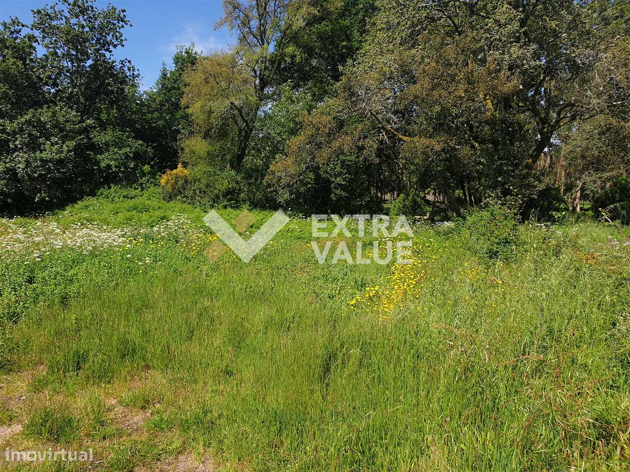 Terreno Para Construção  Venda em Darque,Viana do Castelo - Grande imagem: 4/11